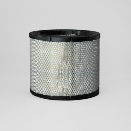 Donaldson Air Filter, P546755 P546755